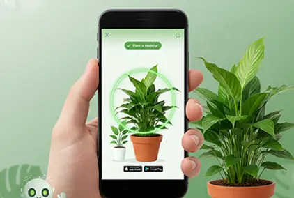 User taking a photo of a plant for identification using PlantDecoder