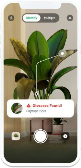 PlantDecoder mobile app showing plant identification and care features